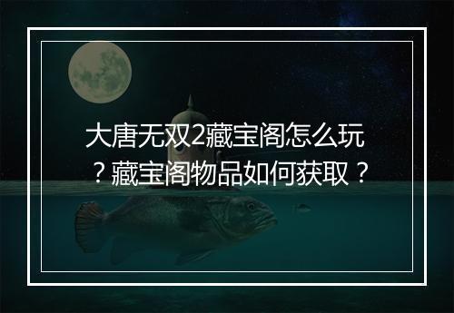 大唐无双2藏宝阁怎么玩？藏宝阁物品如何获取？