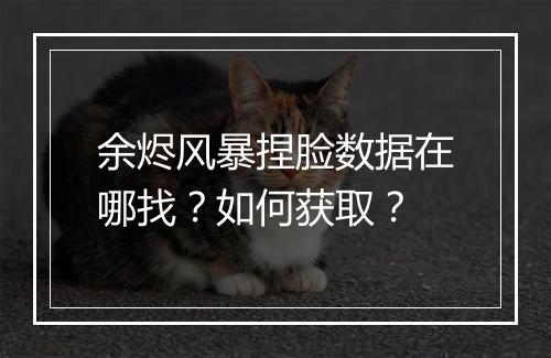 余烬风暴捏脸数据在哪找？如何获取？