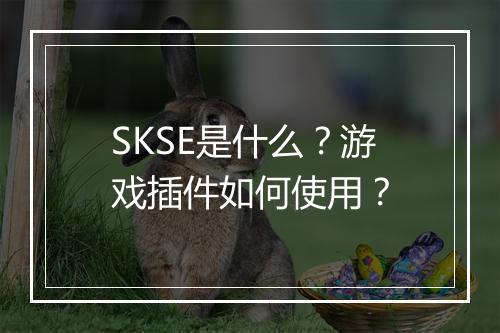 SKSE是什么？游戏插件如何使用？
