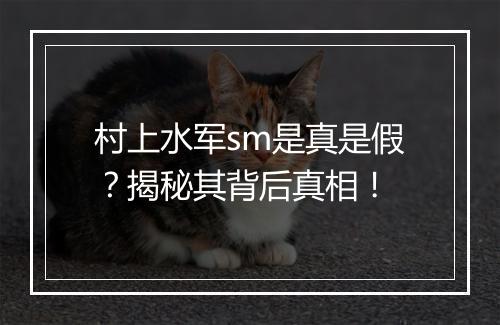 村上水军sm是真是假？揭秘其背后真相！