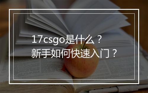 17csgo是什么？新手如何快速入门？