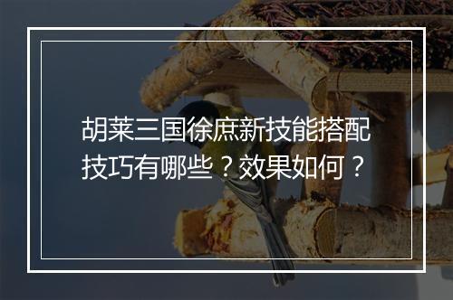 胡莱三国徐庶新技能搭配技巧有哪些？效果如何？