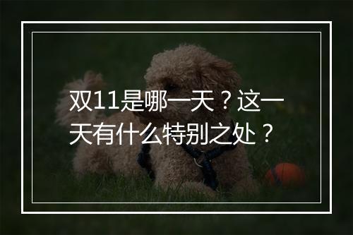 双11是哪一天？这一天有什么特别之处？