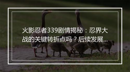 火影忍者339剧情揭秘：忍界大战的关键转折点吗？后续发展如何？