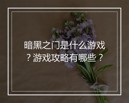 暗黑之门是什么游戏？游戏攻略有哪些？