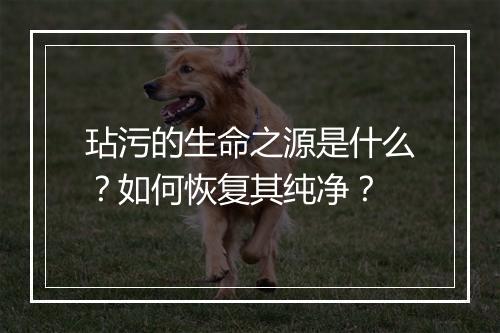 玷污的生命之源是什么？如何恢复其纯净？