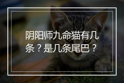 阴阳师九命猫有几条？是几条尾巴？
