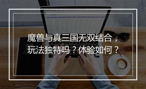 魔兽与真三国无双结合，玩法独特吗？体验如何？
