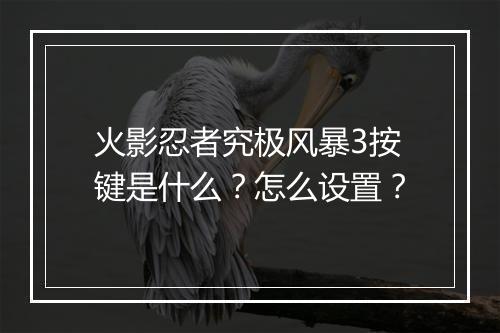 火影忍者究极风暴3按键是什么？怎么设置？