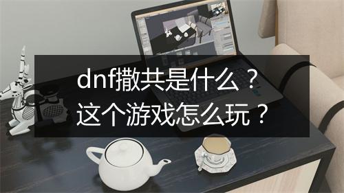 dnf撒共是什么？这个游戏怎么玩？