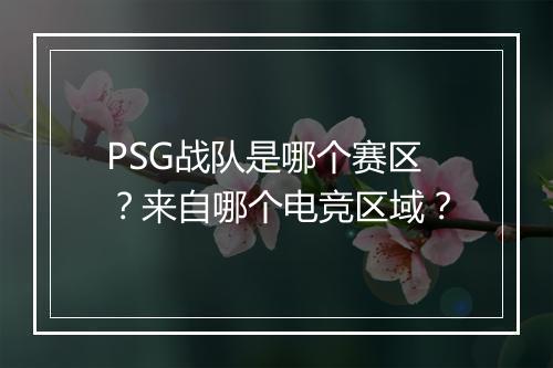 PSG战队是哪个赛区？来自哪个电竞区域？