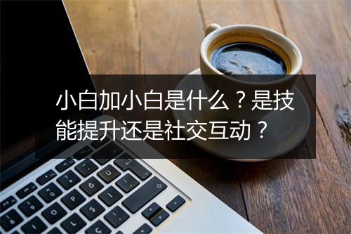 小白加小白是什么？是技能提升还是社交互动？