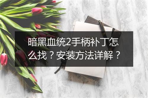 暗黑血统2手柄补丁怎么找？安装方法详解？