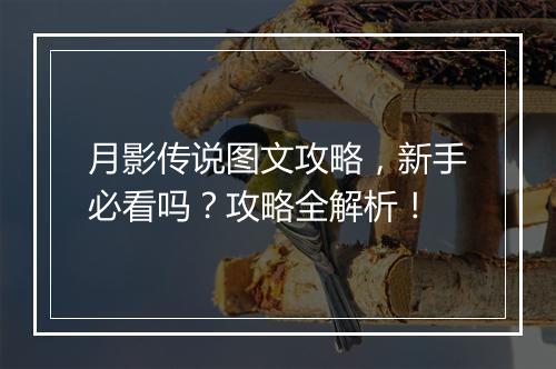 月影传说图文攻略，新手必看吗？攻略全解析！