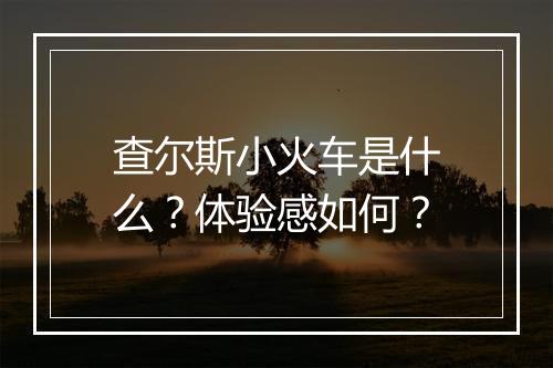 查尔斯小火车是什么？体验感如何？