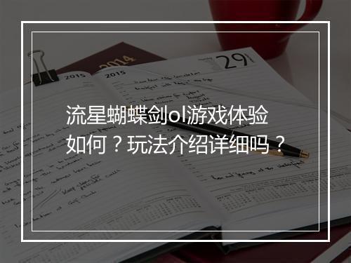流星蝴蝶剑ol游戏体验如何？玩法介绍详细吗？