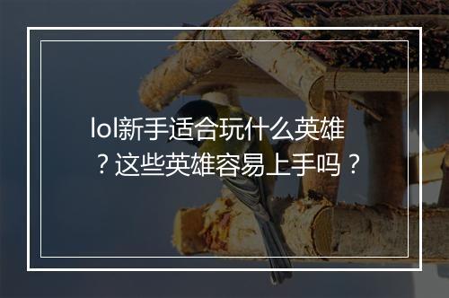 lol新手适合玩什么英雄？这些英雄容易上手吗？