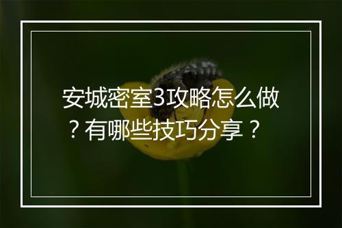 安城密室3攻略怎么做？有哪些技巧分享？