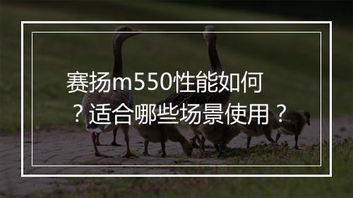 赛扬m550性能如何？适合哪些场景使用？