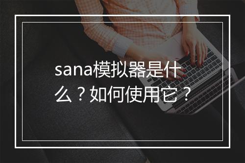 sana模拟器是什么？如何使用它？