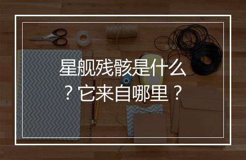星舰残骸是什么？它来自哪里？