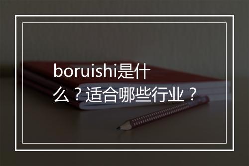 boruishi是什么？适合哪些行业？