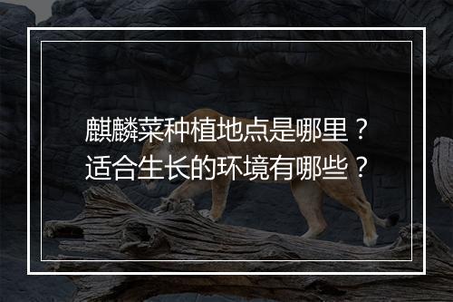 麒麟菜种植地点是哪里？适合生长的环境有哪些？