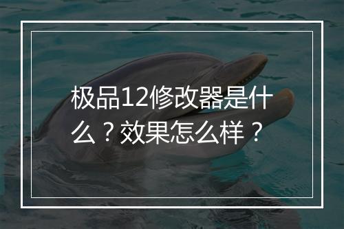 极品12修改器是什么？效果怎么样？