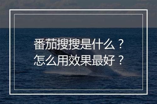 番茄搜搜是什么？怎么用效果最好？