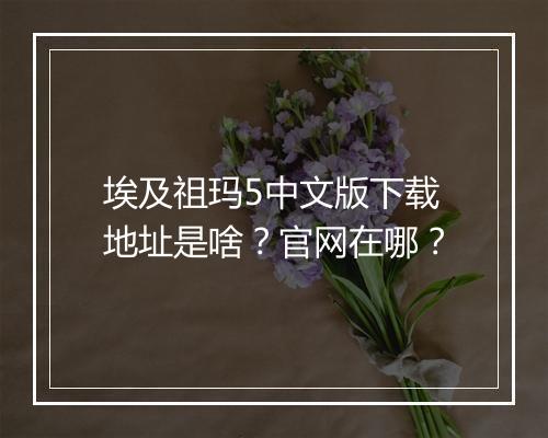 埃及祖玛5中文版下载地址是啥？官网在哪？