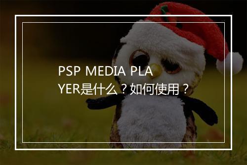 PSP MEDIA PLAYER是什么？如何使用？