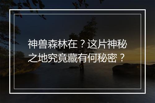 神兽森林在？这片神秘之地究竟藏有何秘密？