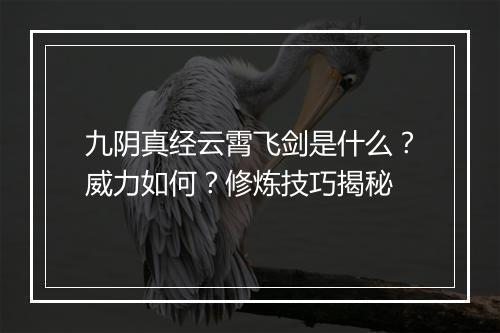 九阴真经云霄飞剑是什么？威力如何？修炼技巧揭秘