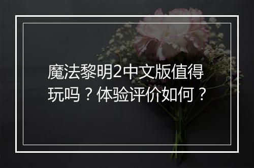 魔法黎明2中文版值得玩吗？体验评价如何？