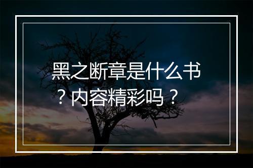 黑之断章是什么书？内容精彩吗？