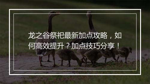 龙之谷祭祀最新加点攻略，如何高效提升？加点技巧分享！
