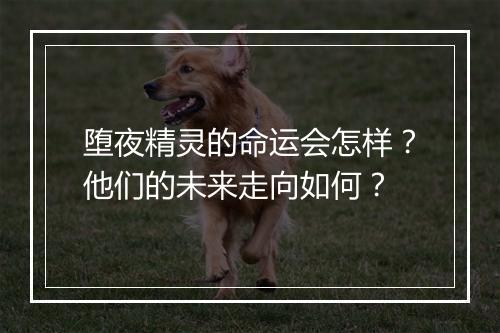 堕夜精灵的命运会怎样？他们的未来走向如何？