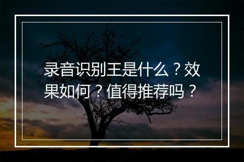 录音识别王是什么？效果如何？值得推荐吗？