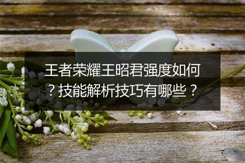 王者荣耀王昭君强度如何？技能解析技巧有哪些？