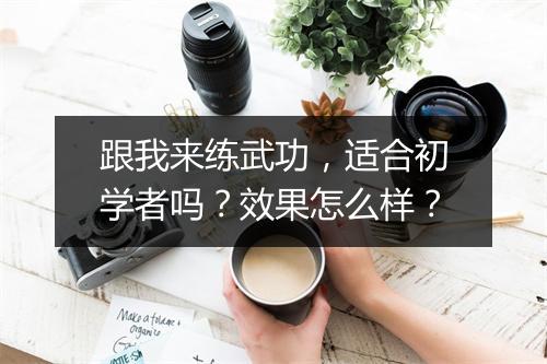 跟我来练武功，适合初学者吗？效果怎么样？