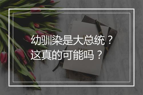 幼驯染是大总统？这真的可能吗？