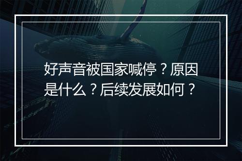 好声音被国家喊停？原因是什么？后续发展如何？
