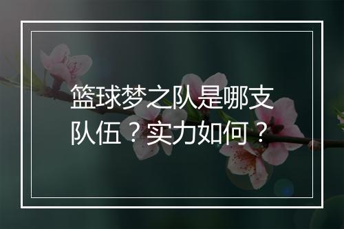 篮球梦之队是哪支队伍？实力如何？