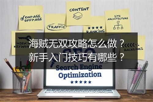 海贼无双攻略怎么做？新手入门技巧有哪些？