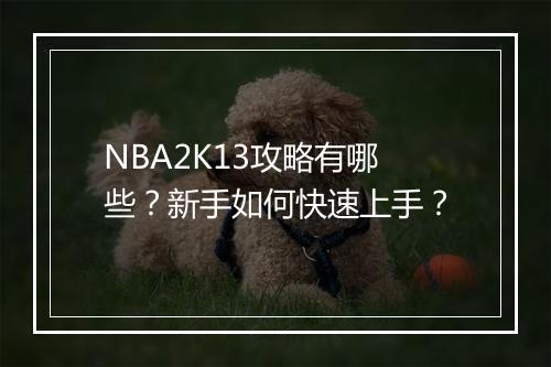 NBA2K13攻略有哪些？新手如何快速上手？