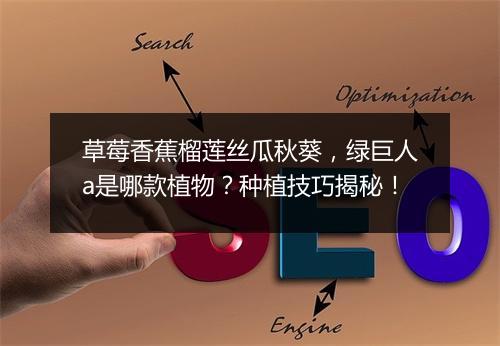 草莓香蕉榴莲丝瓜秋葵，绿巨人a是哪款植物？种植技巧揭秘！