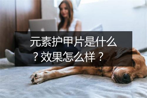 元素护甲片是什么？效果怎么样？