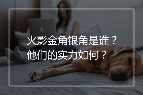火影金角银角是谁？他们的实力如何？