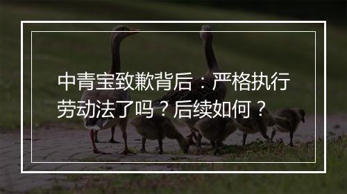 中青宝致歉背后：严格执行劳动法了吗？后续如何？