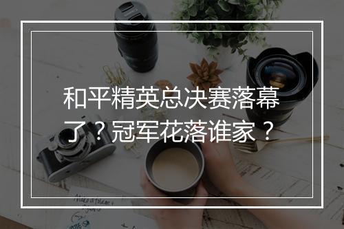 和平精英总决赛落幕了？冠军花落谁家？